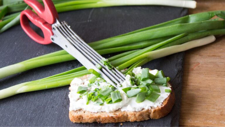 5 Blade Kitchen Salad Scissors