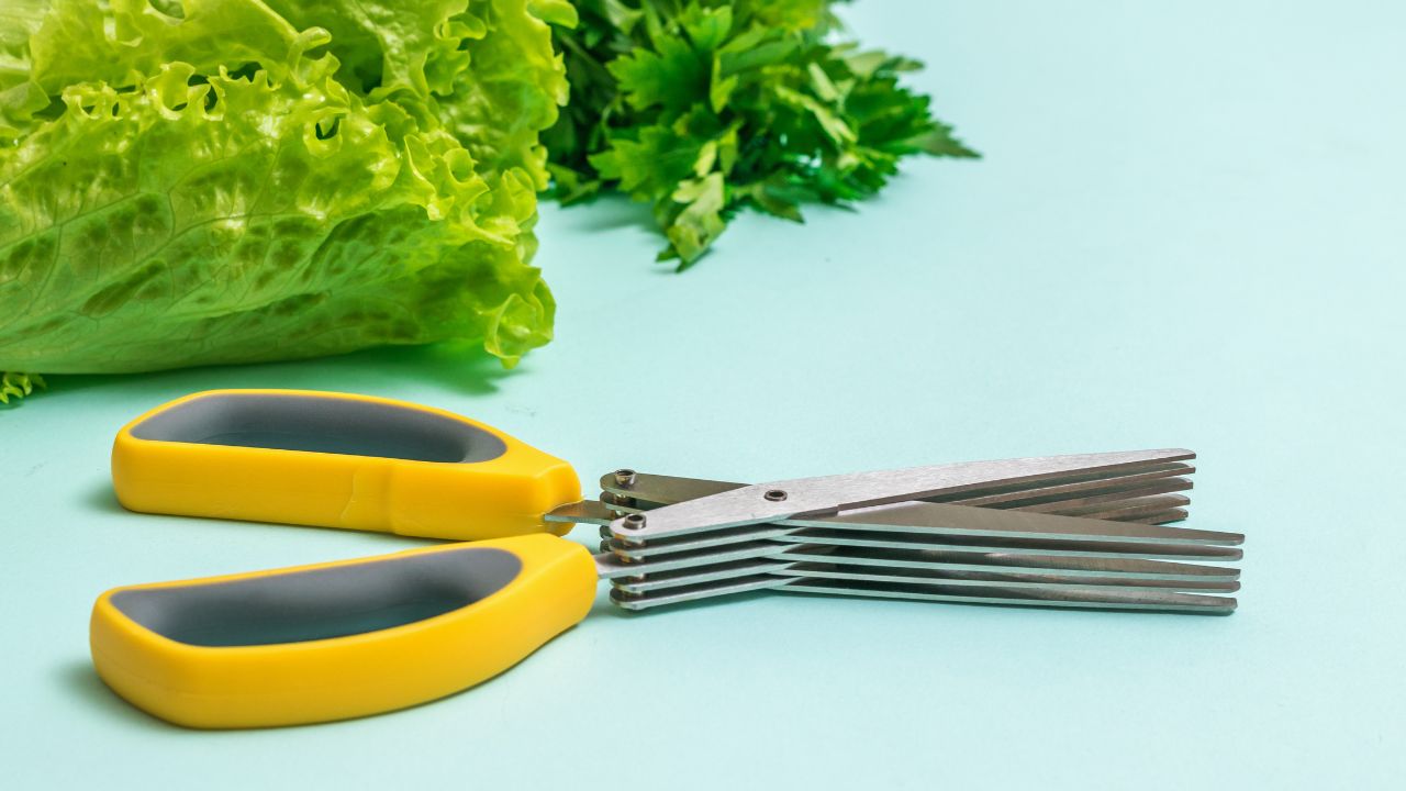 Importance of Using 5 Blade Kitchen Salad Scissors